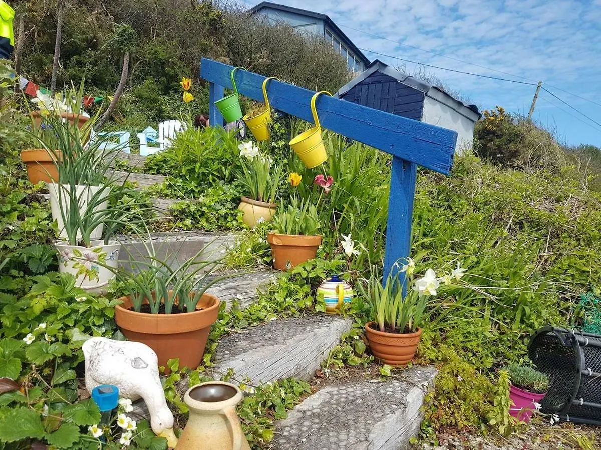 Idyllic Inchydoney Beach Cottage - Amazing Sea Views, Path To Beach! Cork 0*,